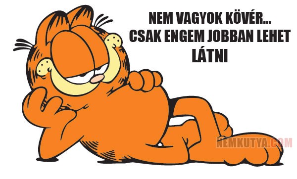 1337940336-kover-nemkutya.jpg